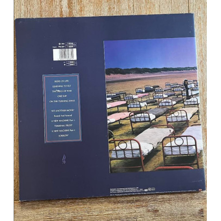 A Momentary Lapse Of Reason