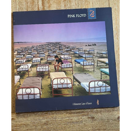 A Momentary Lapse Of Reason