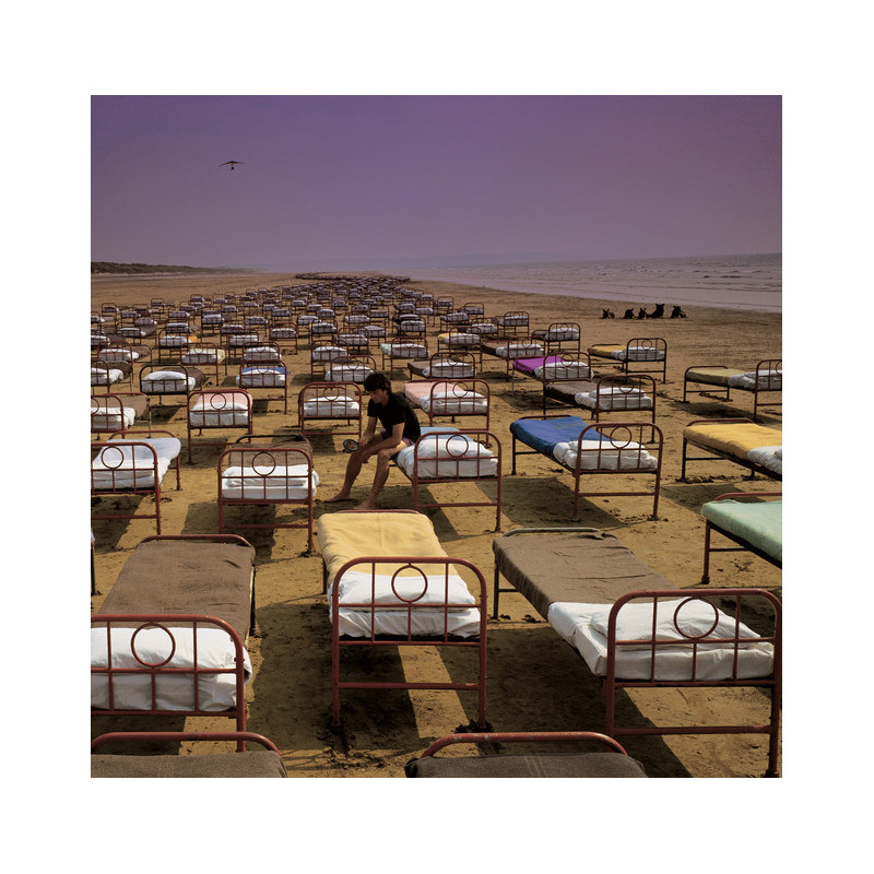 A Momentary Lapse Of Reason