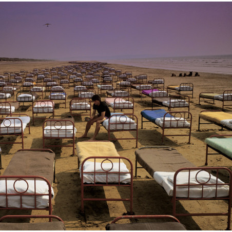 A Momentary Lapse Of Reason