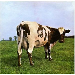 Atom Heart Mother