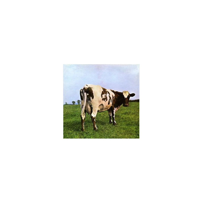 Atom Heart Mother